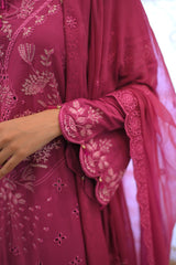 Afreen (plum)