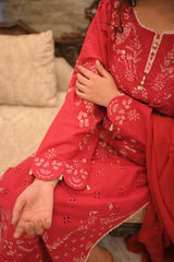 Afreen (Deep pink)