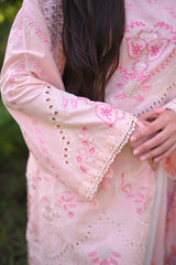 Naaz ( peach)